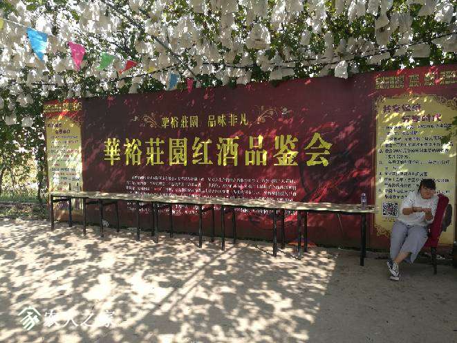 140554pyn81ysxujjnjhnz.jpg