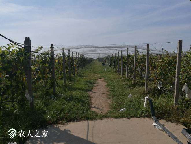140636ngmobmbbmeiikbxx.jpg