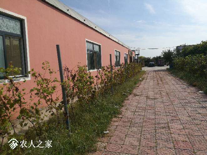 140659b74ppkjxwd4kwpak.jpg