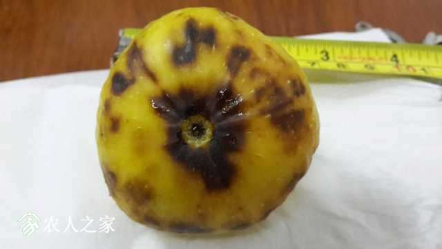 20170930_212833.jpg