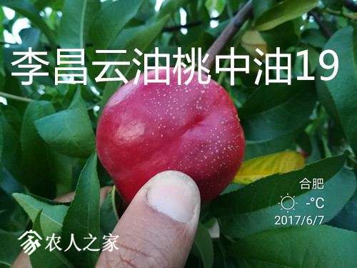IMG_20170607_191555_.jpg