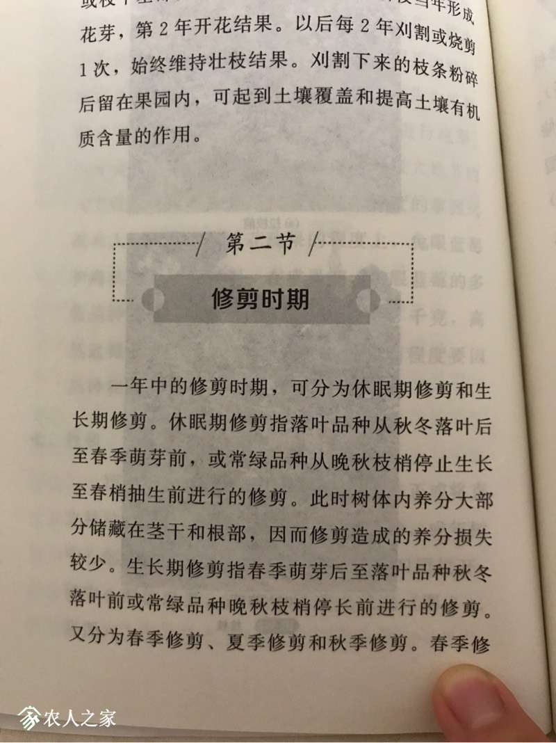 235346phlhzm6j1xc96aon.jpg