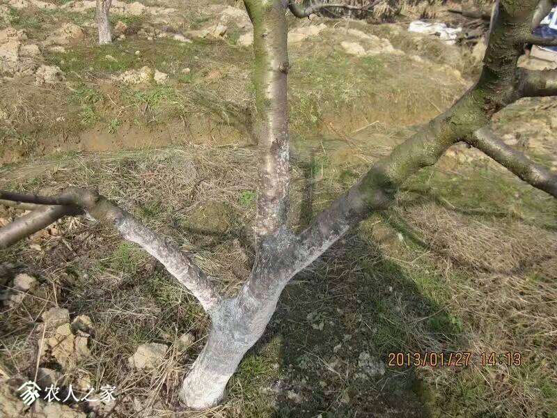 041833wxwbxtxosszxxxb1.jpeg