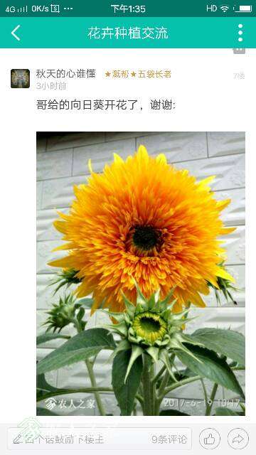 155646xs5sh3sd8dt5fj71.png