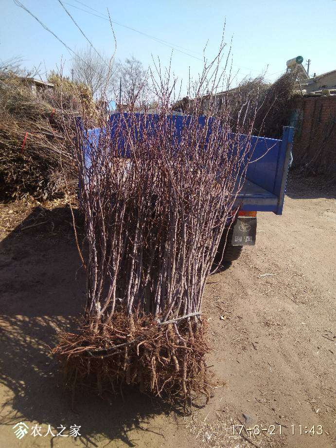 004840autsnpvoar8trtpu.jpg