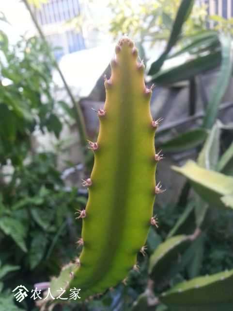 20171003_165901.jpg