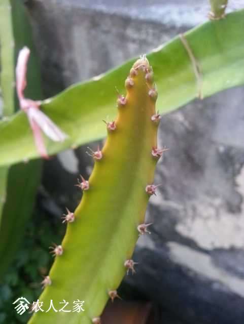 20171003_165836.jpg