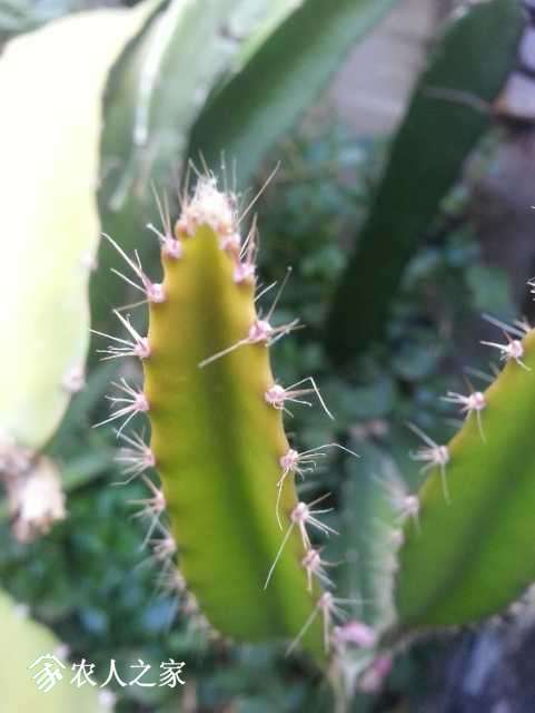 20171003_170016.jpg
