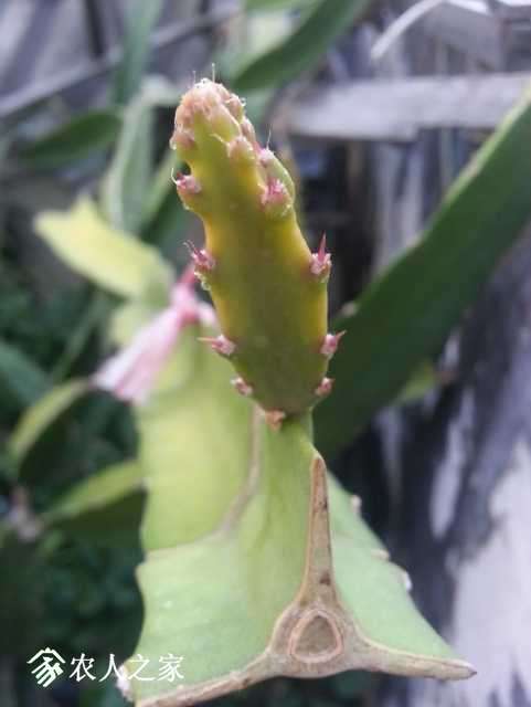 20171003_170314.jpg