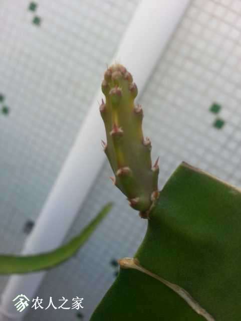 20171003_170344.jpg