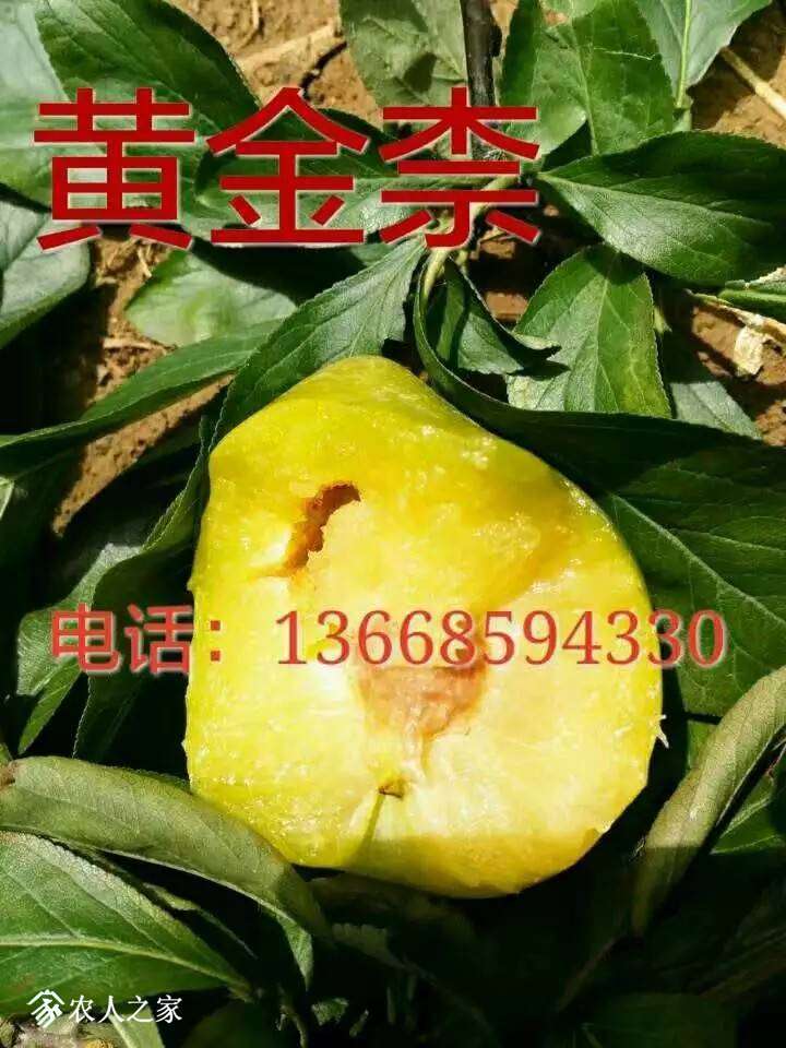 194738ctktthuki2c22fp2.jpeg
