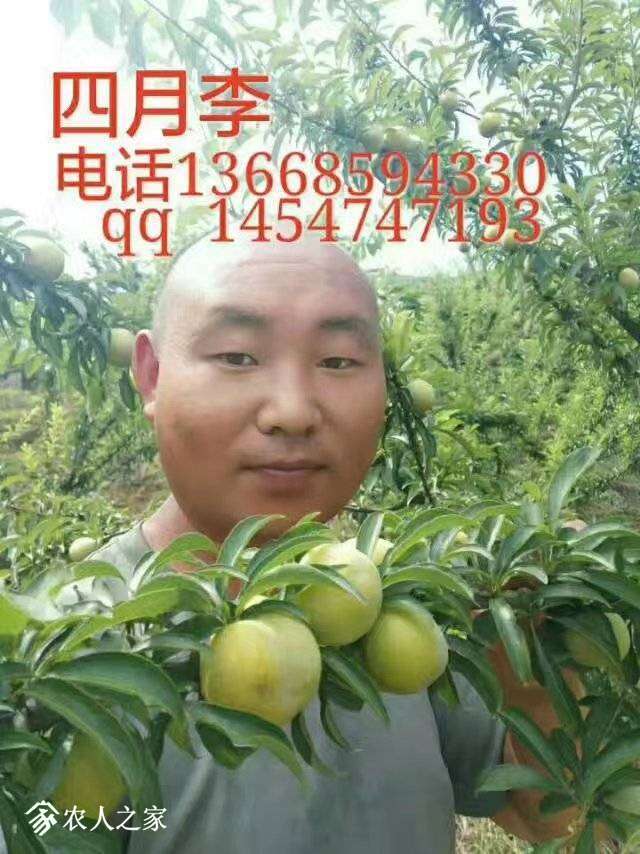 132109icttcsq372qq5xx3.jpg