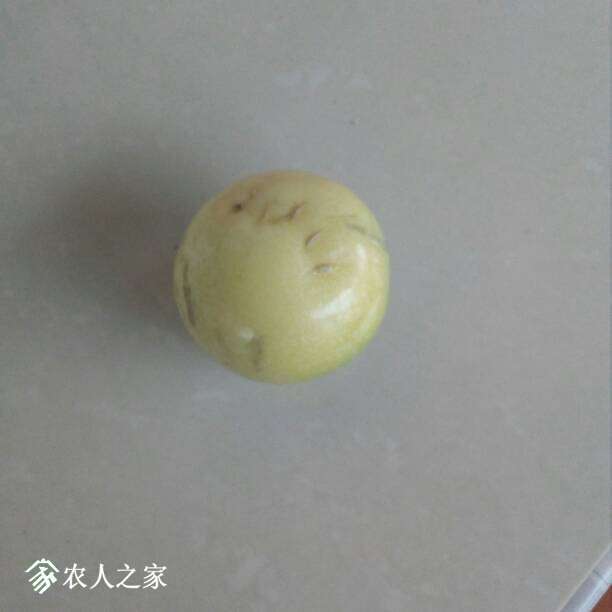 195941gg9g0zs9994j2gwj.jpg