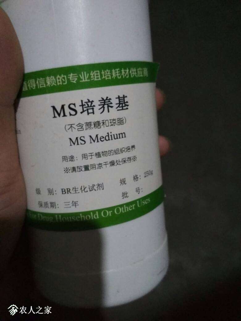 205218s8bn9c9fnbbefxl8.jpg