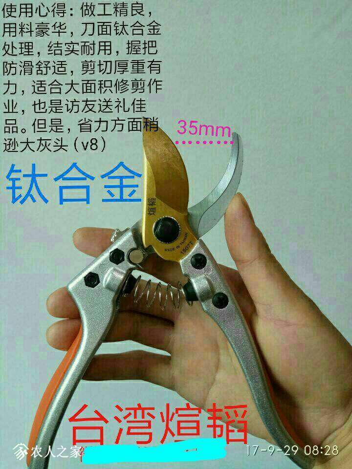 052220jo6vt5am67apvp66.jpg