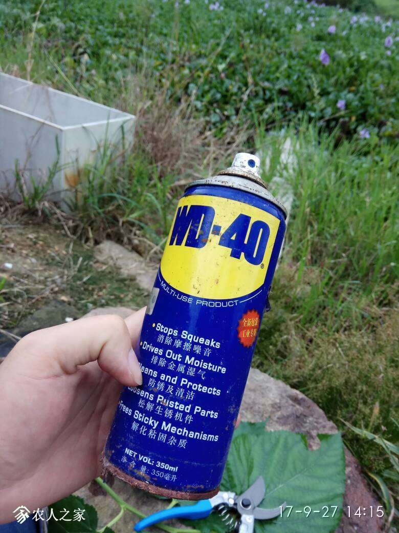 052250dvxxvg5y5kvyv2gk.jpg