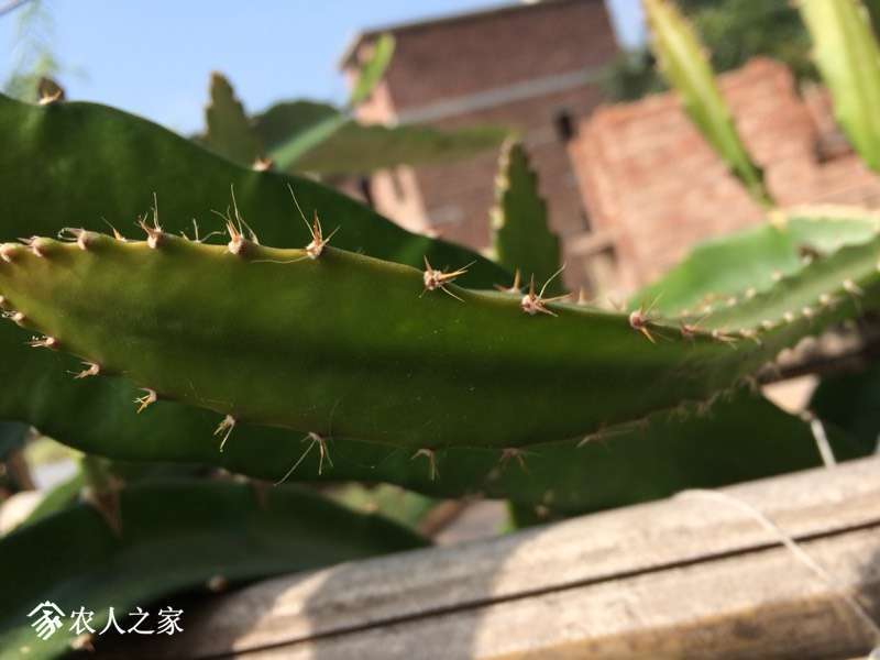 180405ujzobypzexzbd2x0.jpg