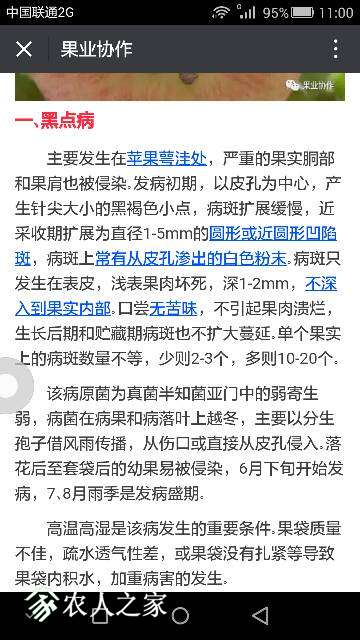 110708pkjlswp6330cpl3r.png