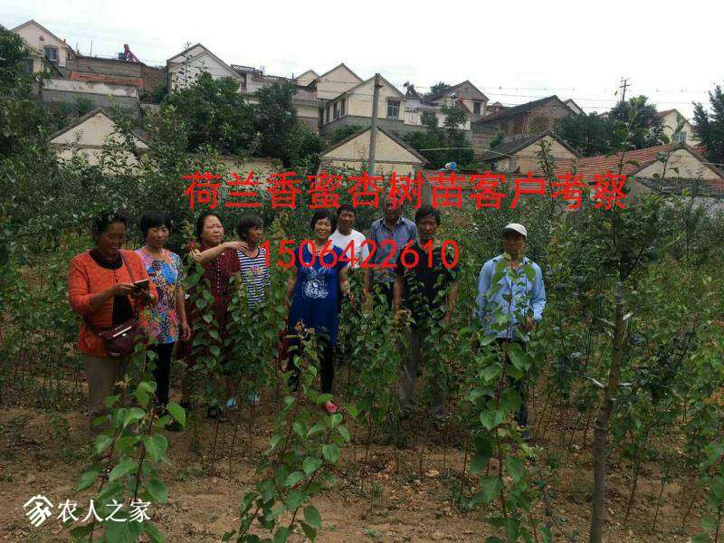 170414acjbzbcbrups3r3p.jpg