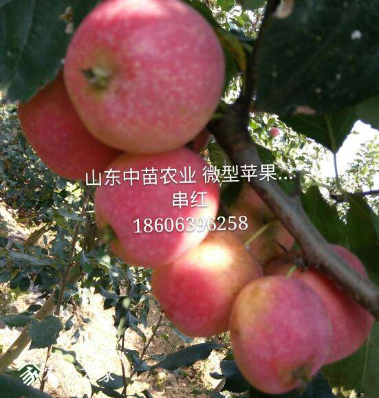 172457uyn99uqfoxjufyqa.jpg