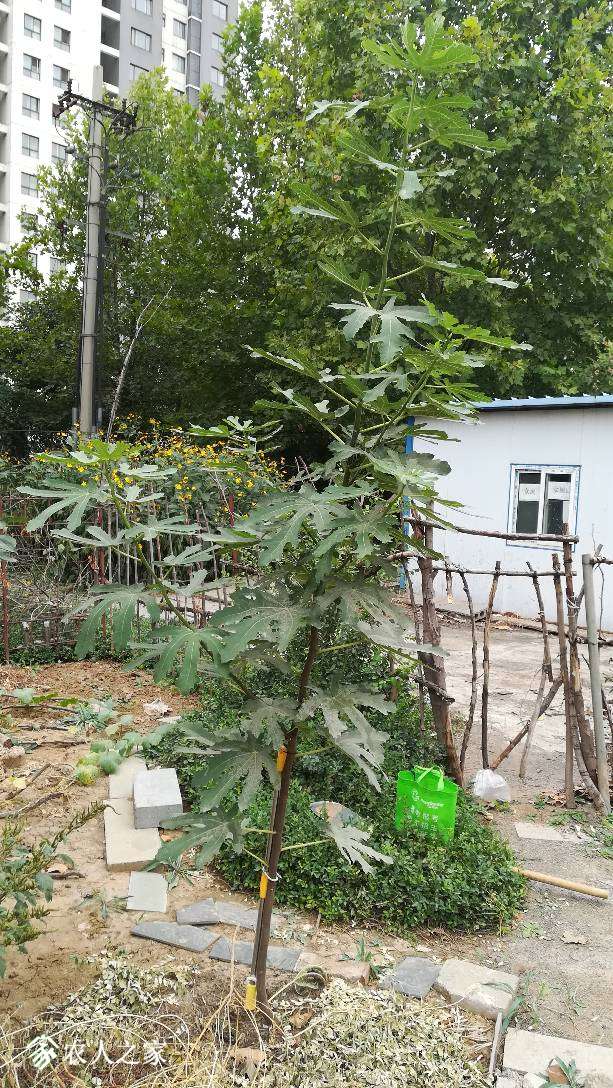 174108dco6zi6ocrl5r4j6.jpg