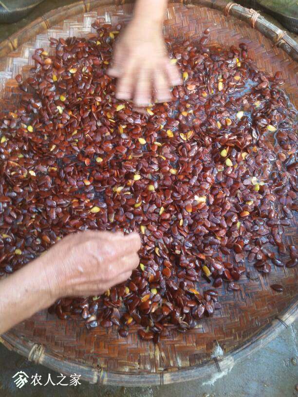 202542ghhddd4hkyf5i8bk.jpg