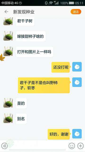 055137lq4omu45mr574rd4.jpeg