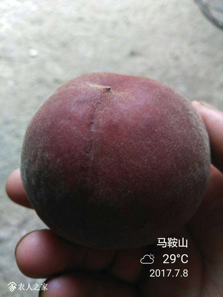 072746azjpawwjojoddwwd.jpg