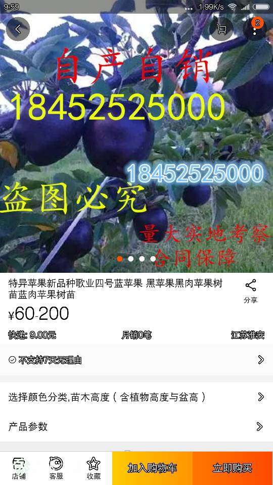 100336jrl2ren2vrevn7r8.png