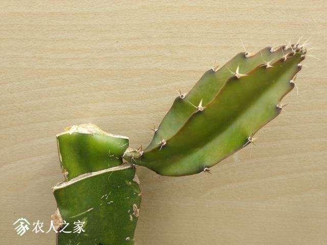 IMG20171009104544.jpg