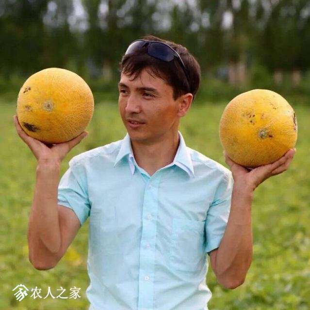 QQͼ20170805215122.jpg