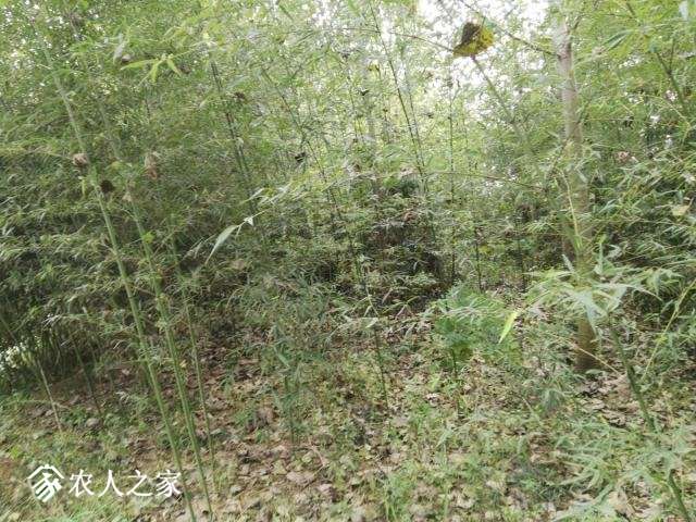 impicture-d9d000328870e95478d5f689787dd61e.jpg