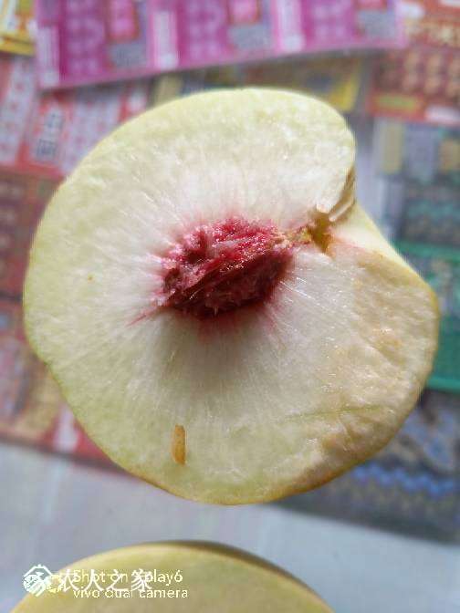 101552gzpsmpp5o4m3acxs.jpg