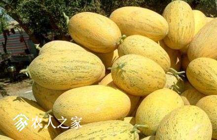 6de5c217ly1fhy7f946xhj20db08l3z8.jpg