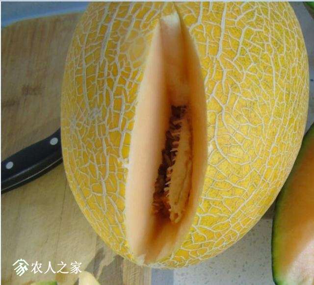 ԳԣǼ𣬵ƤǳƤԺ