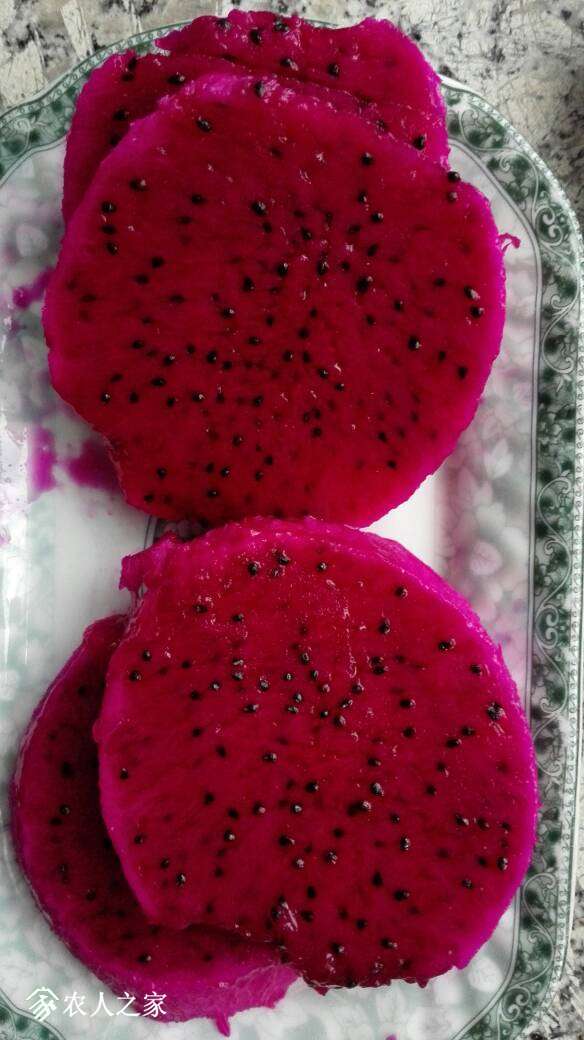 171825fhv8281ic6gmmy6d.jpg