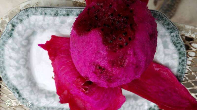 171825r9t76tpiphx6ccpj.jpg