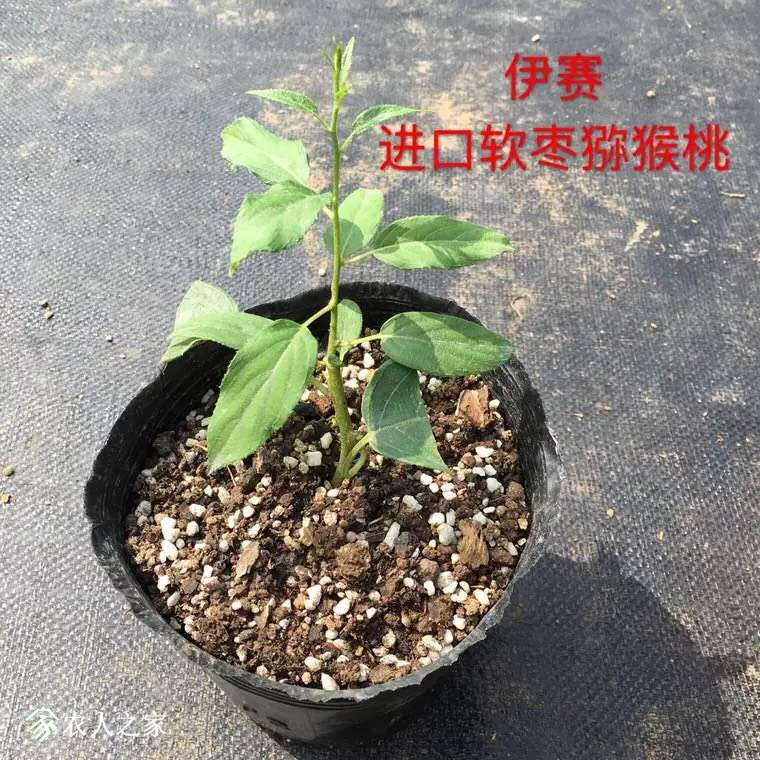 202316xr0tn4n5lj0l50mn.jpg