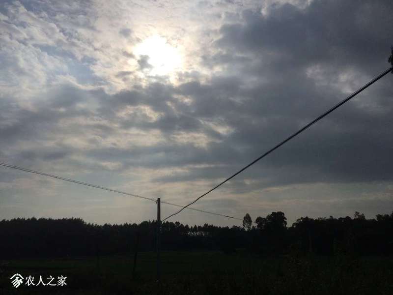 085330nh7mb23huqo1bli5.jpg