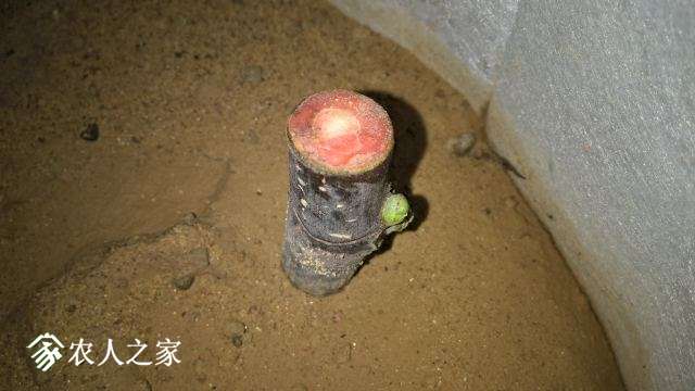 WP_20171010_21_55_15_Pro.jpg