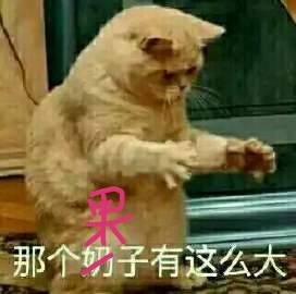 130217k29if6i8iiil96ss.jpg