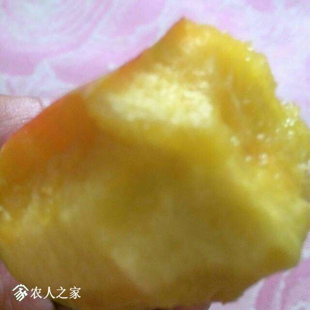 205512ug77z9m4glz71gg1.jpg