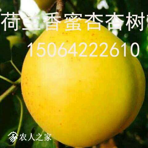 065903tklcjhrhfqzca7ae.jpg