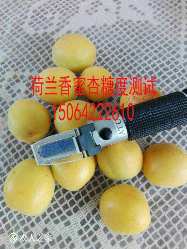 065907tjk7gmukuucjbubn.jpg