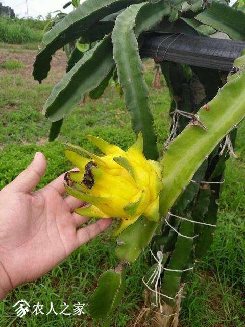 ΢��ͼƬ_20171013202302.jpg