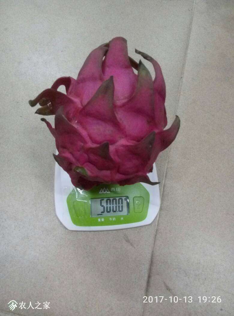 230541rvcdrpsrtcttpvav.jpg