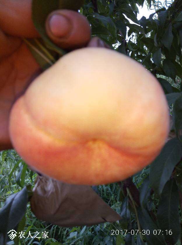 071557reovoocwbvekboov.jpg