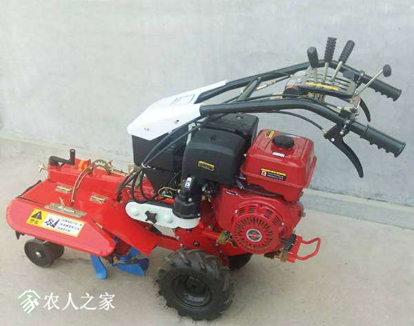 212033ezck5ceusk64gs8u.jpg