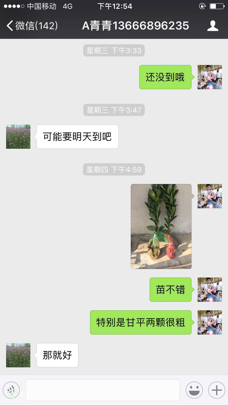 150759jkiwbmzoqm787i8o.jpg