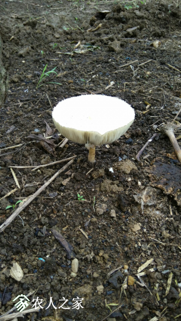 18a5a6f055818748.jpg